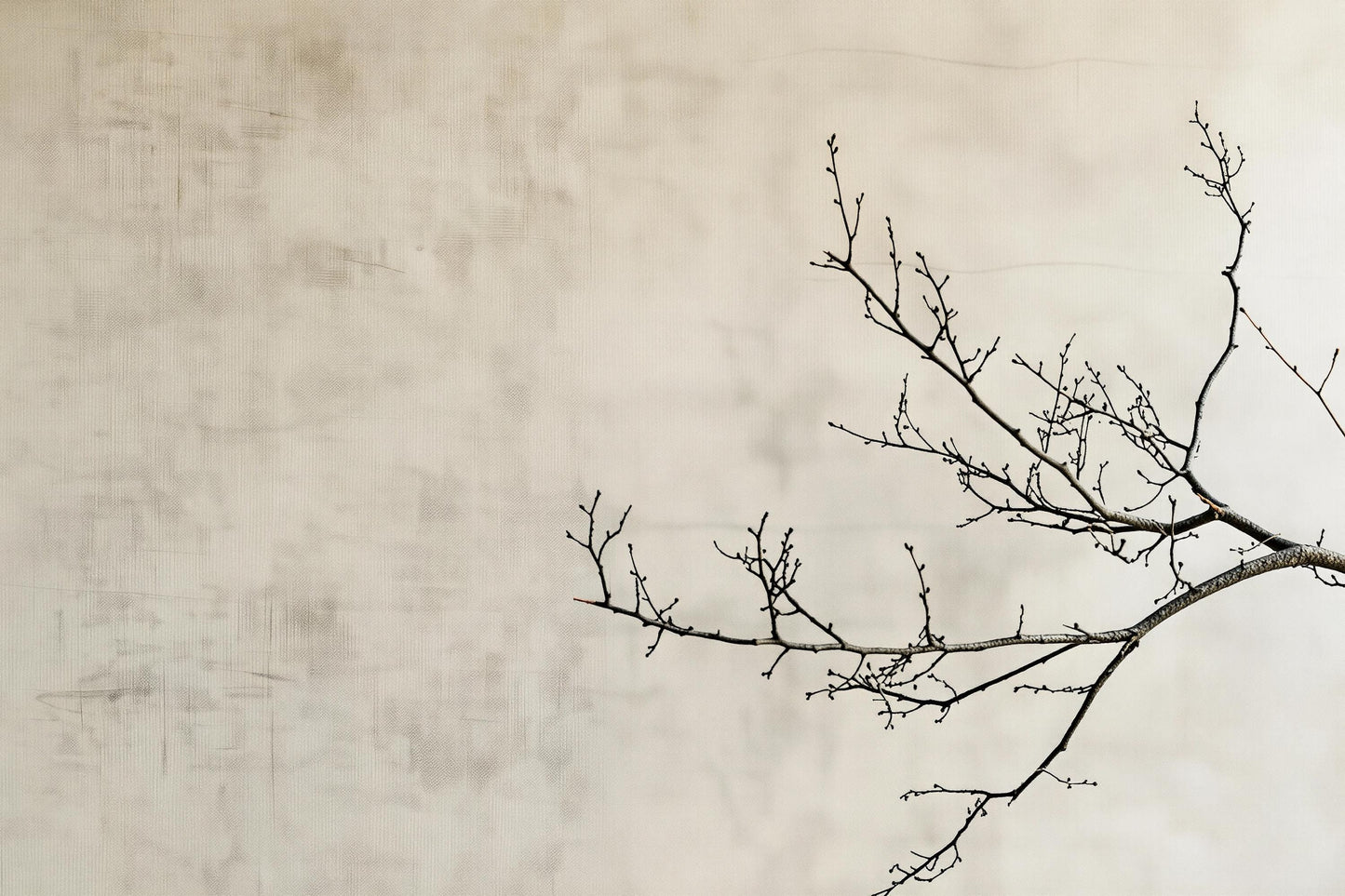 Minimalist Branch Wall Mural | Japandi Nature Wallpaper Vn1040