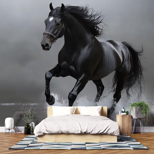 Black Stallion Wall Mural – Majestic Running Horse Wallpaper for Bedroom or Living Room Vn783