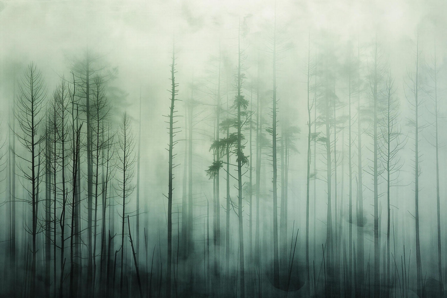 Misty Pine Forest Wall Mural – Foggy Woodland Wallpaper, Nature Landscape Accent Wall Decor for Bedroom or Living Room Vn1072