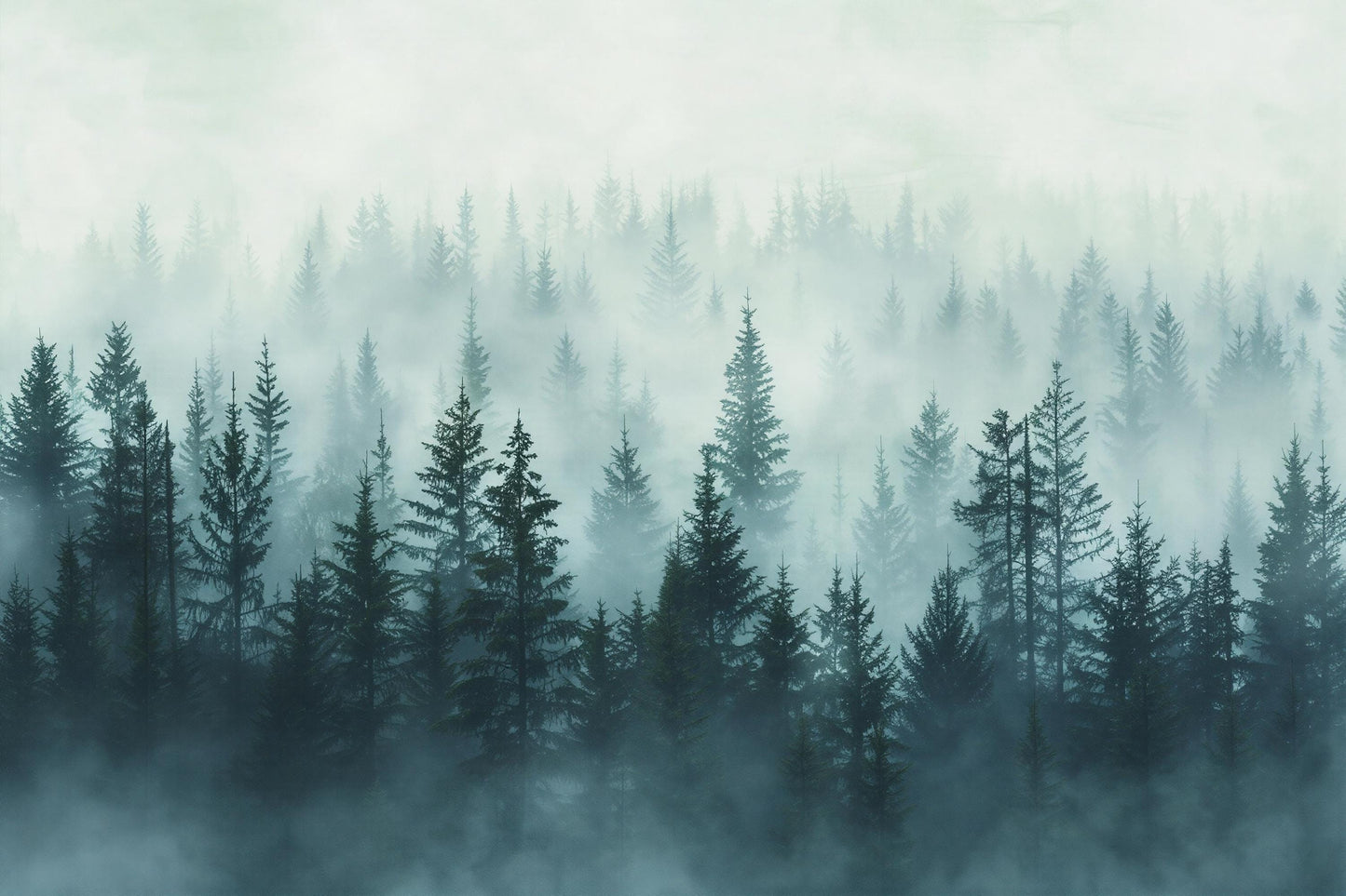 Misty Forest Wall Mural – Foggy Woodland Pine Tree Wallpaper, Nature Landscape Accent Wall Decor for Bedroom or Kids Room Vn1075